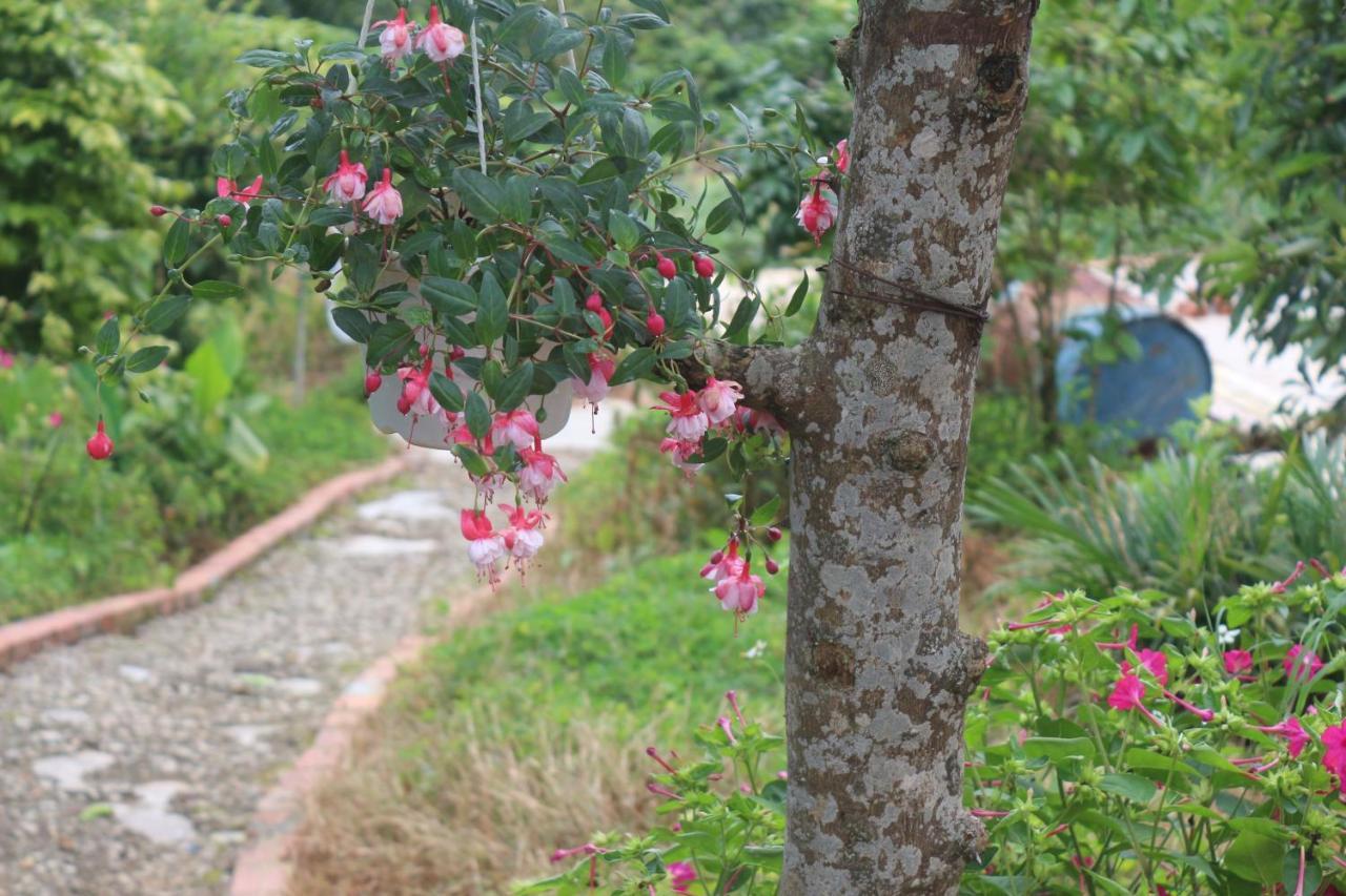 Tháng Năm Rực Rỡ - Dalat Homestay Esterno foto