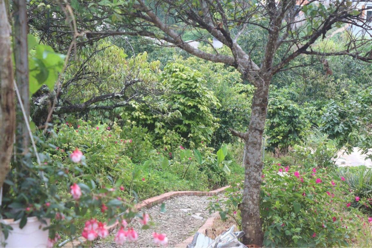 Tháng Năm Rực Rỡ - Dalat Homestay Esterno foto